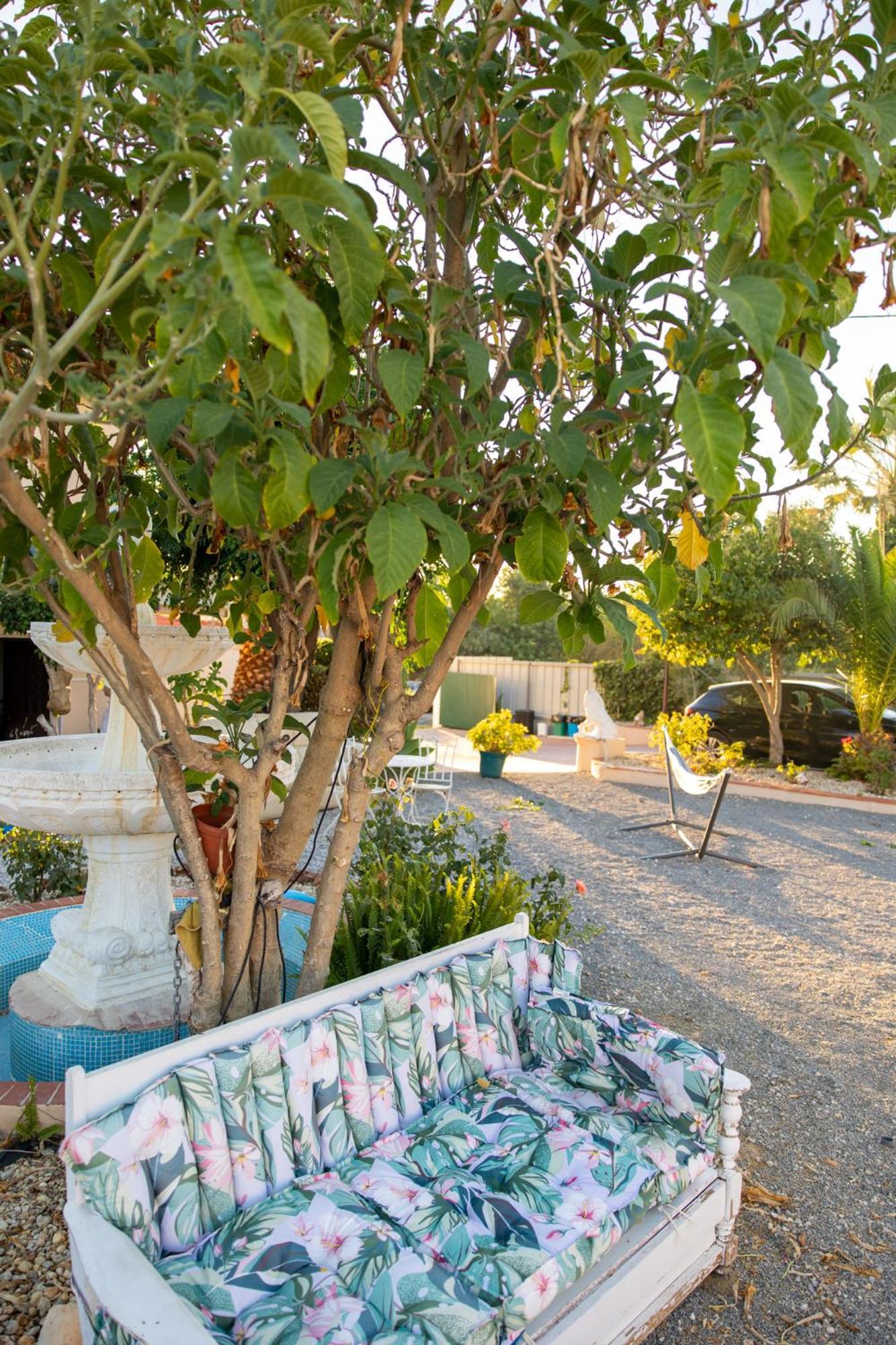 Bela Alexandra Guest House Fuzeta Exterior photo
